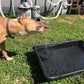 🔥Hot Sales 50% OFF🔥🔥Solar-powered fountains🐦️