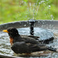 🔥Hot Sales 50% OFF🔥🔥Solar-powered fountains🐦️
