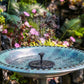 🔥Hot Sales 50% OFF🔥🔥Solar-powered fountains🐦️